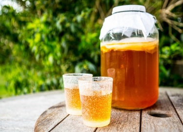 Подробные и полезные советы, которые расскажут про правильный уход за чайным грибом.
