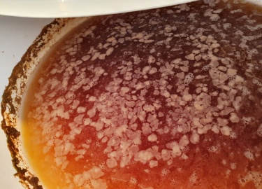 Какие существуют многочисленные факторы, почему появляется плесень на чайном грибе. Разновидности плесени на медузомицете и их особенности.
