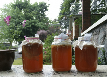 Как хранить чайный гриб в зимнее время. Основные правила хранения целебного напитка в летний сезон.
