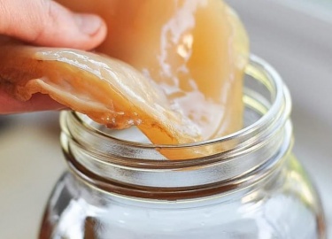 В чем заключается вред чайного гриба. Люди с какими заболеваниями находятся в зоне риска при употреблении комбучи.
